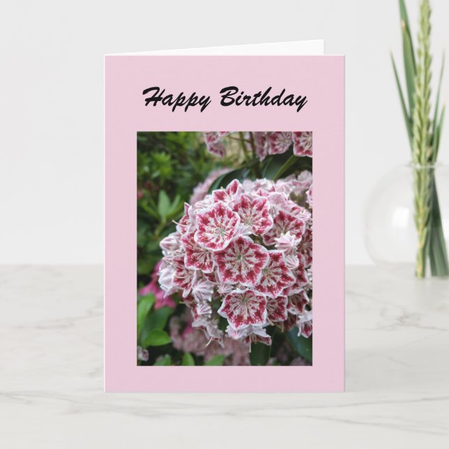 Birthday card with pink mountain laurel (Front)