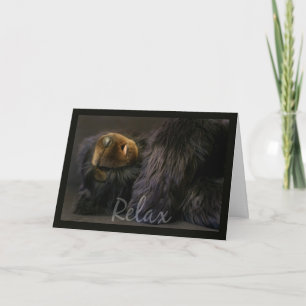 Birthday Card With Sleeping Bear - Relax