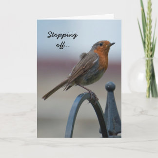 Birthday Card: Young British Robin Card
