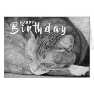 Birthday Cat Card Pet Lover Greeting Card