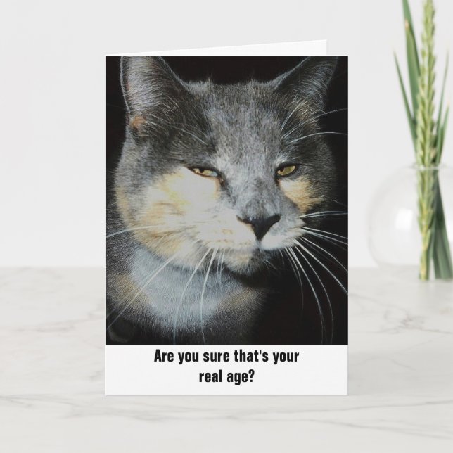 Birthday cat humour card (Front)