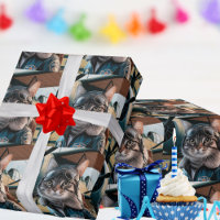 Birthday Cat Pilot & Airplane Cool Funny Aviation
