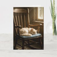 Birthday Cat Sleeping On a Rocking Chair