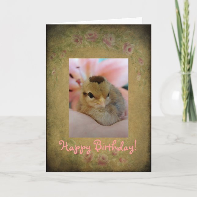 Birthday Chick Card (Front)