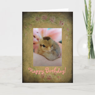 Birthday Chick Card