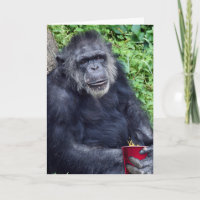 Birthday Chimpanzee with Red Cup