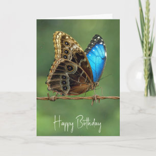 Birthday Common Morpho Butterfly on Barbed Wire Card