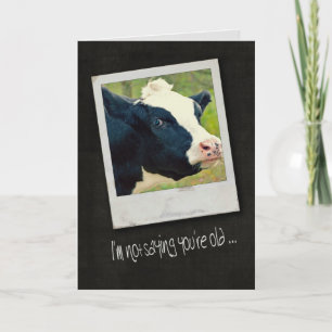 Birthday Cow Humour Card