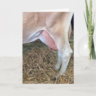 Birthday Cow Standing on Hay Card