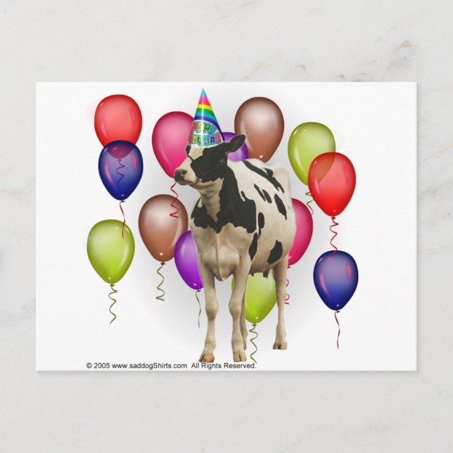 Birthday Cow Theme Party Postcard (Front)