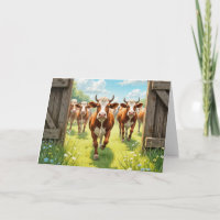 Birthday Cows Escaping Out of a Pasture