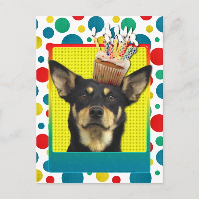 Birthday Cupcake - Australian Kelpie - Jude Postcard (Front)