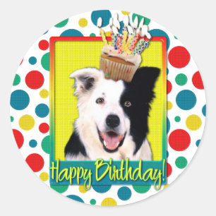 Birthday Cupcake - Border Collie Classic Round Sticker