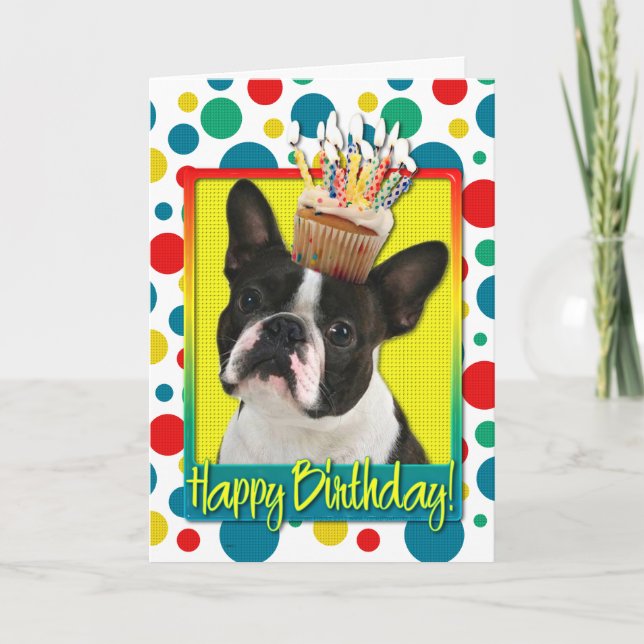 Birthday Cupcake - Boston Terrier Card (Front)