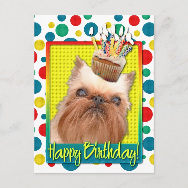 Birthday Cupcake - Brussels Griffon Postcard (Front)