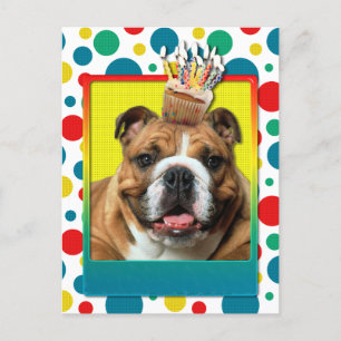 Birthday Cupcake - Bulldog - Dark Postcard