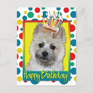 Birthday Cupcake - Cairn Terrier - Teddy Bear Postcard