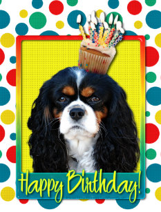 Cavalier King Charles Spaniel Birthday Cards Zazzle Co Nz Cavalier King Charles Spaniel Birthday Cards Zazzle Co Nz