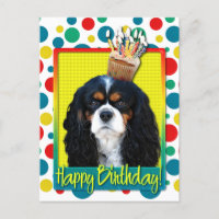 Birthday Cupcake - Cavalier - Tri-Colour