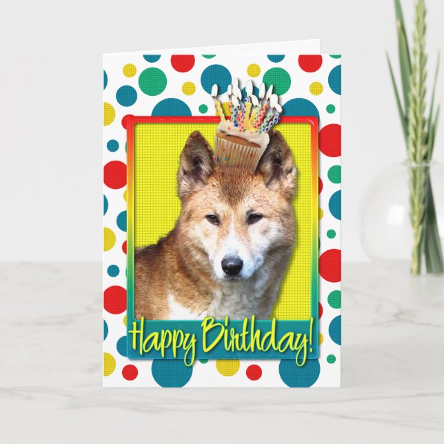 Birthday Cupcake - Dingo Card (Front)