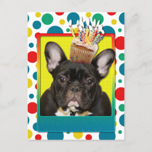 Birthday Cupcake - French Bulldog - Teal Postcard