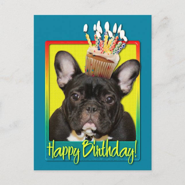Birthday Cupcake - French Bulldog - Teal Postcard (Front)