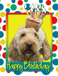 Happy Birthday Goldendoodle Gifts On Zazzle Nz