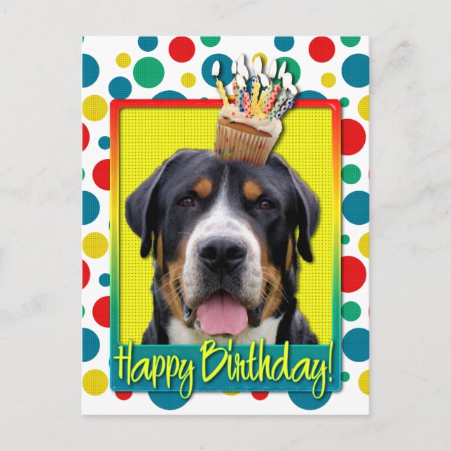 Birthday Cupcake - Greater Swiss Mountain Dog Postcard (Front)
