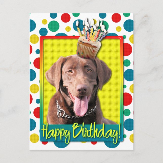 Birthday Cupcake - Labrador - Chocolate Postcard (Front)