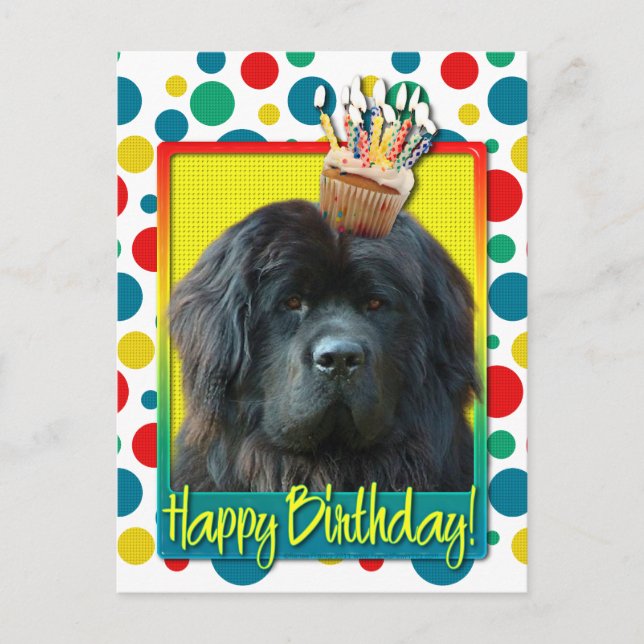 Birthday Cupcake - Newfoundland Postcard (Front)