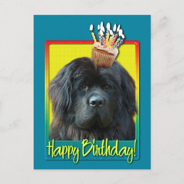 Birthday Cupcake - Newfoundland Postcard (Front)