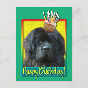 Birthday Cupcake - Newfoundland Postcard