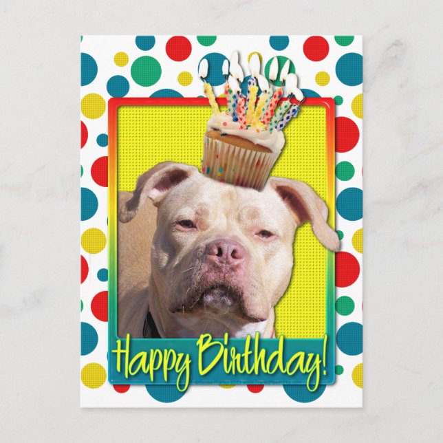 Birthday Cupcake - Pitbull - Jersey Girl Postcard (Front)