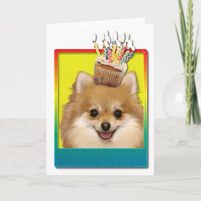 Birthday Cupcake - Pomeranian Card (Front)