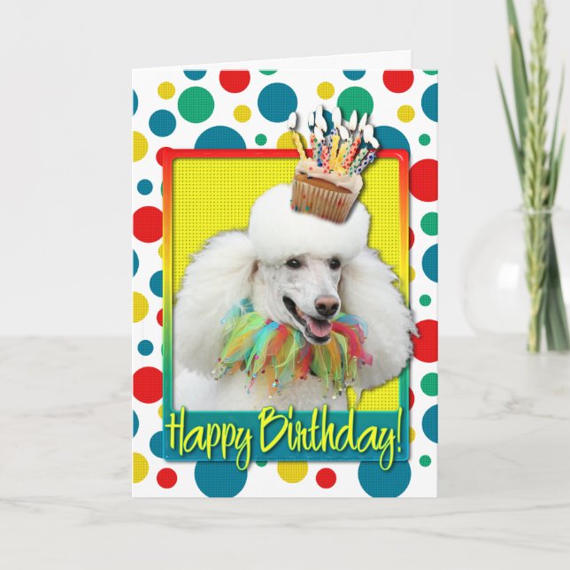 Birthday Cupcake - Poodle - White Card (Front)