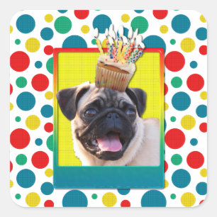 Birthday Cupcake - Pug Square Sticker