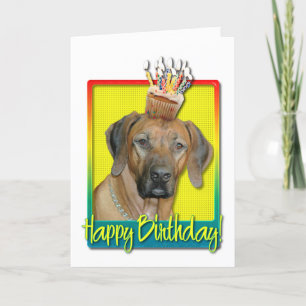 Birthday Cupcake - Rhodesian Ridgeback Card