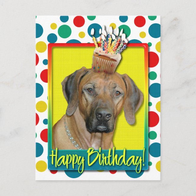 Birthday Cupcake - Rhodesian Ridgeback Postcard (Front)
