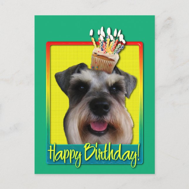 Birthday Cupcake - Schnauzer Postcard (Front)