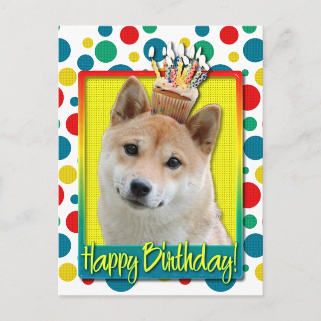 Birthday Cupcake - Shiba Inu Postcard (Front)