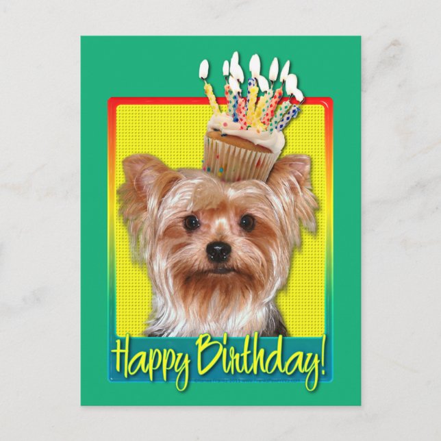 Birthday Cupcake - Yorkshire Terrier Postcard (Front)