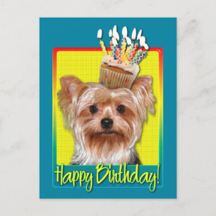 Birthday Cupcake - Yorkshire Terrier Postcard