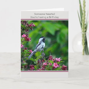 Birthday: customise card