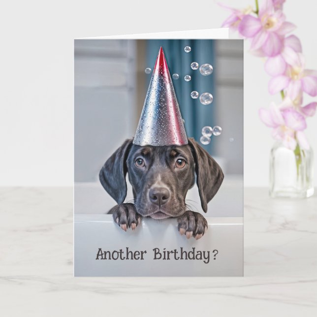 Birthday Cute Shorthair Pointer Puppy with Party  Card (Orchid)