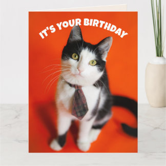  BIRTHDAY CUTE TIE CAT FRIEND GREETING CARD