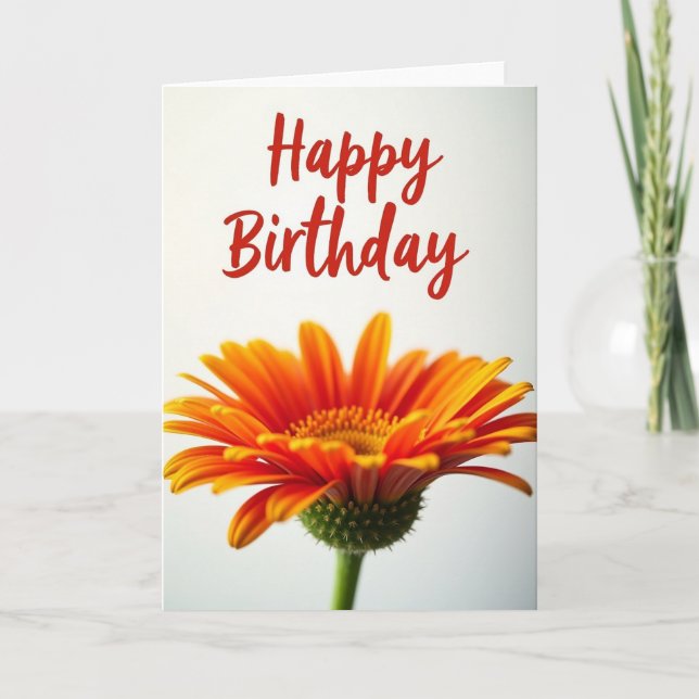 Birthday Daisy Delight Card (Front)