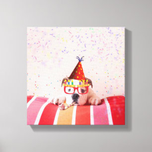 Birthday Dog Canvas Print