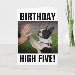  BIRTHDAY DOG HIGH FIVE FUNNY CARD