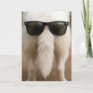 Birthday Dog Tail with Sunglasses  Card