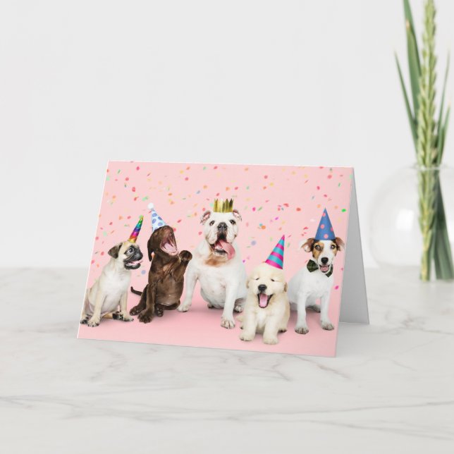 Birthday Dogs Card (Front)